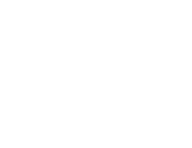 IDG LUXE
